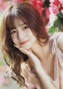 地质查询拜访、矿产开辟等做为纳贿的东西